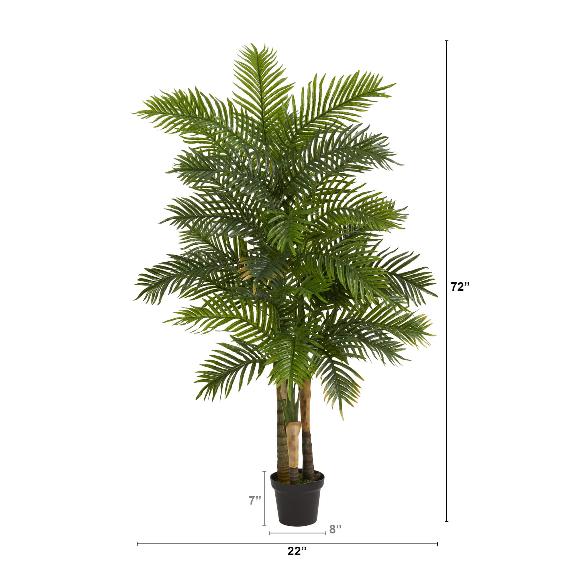 6ft. Potted Areca Palm Tree